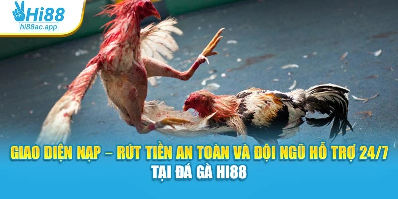 Giao diện nạp – rút tiền an toàn và đội ngũ hỗ trợ 24/7 tại Đá gà Hi88